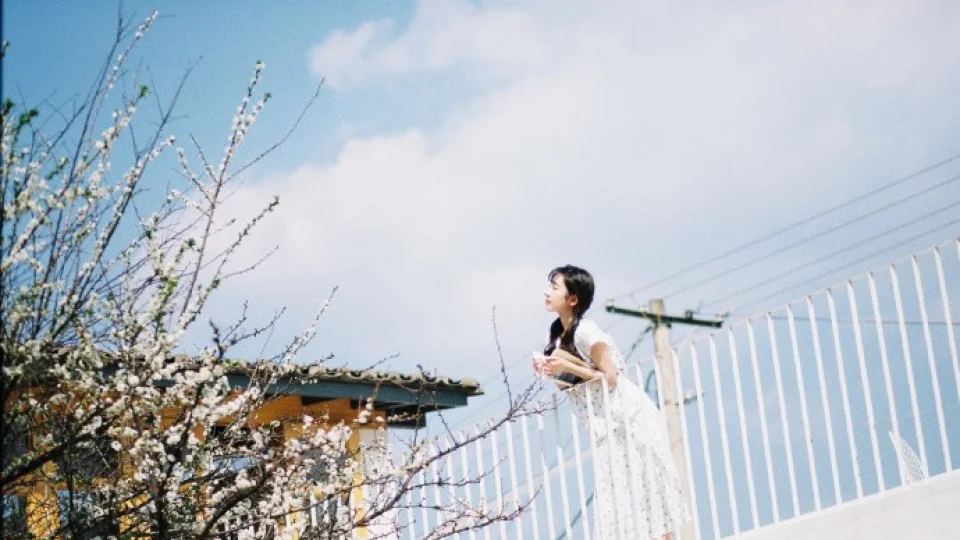 91香蕉、R星今日大赛mrds51、生活视频：叙事节奏观看指南｜国产51吃瓜网合集封面